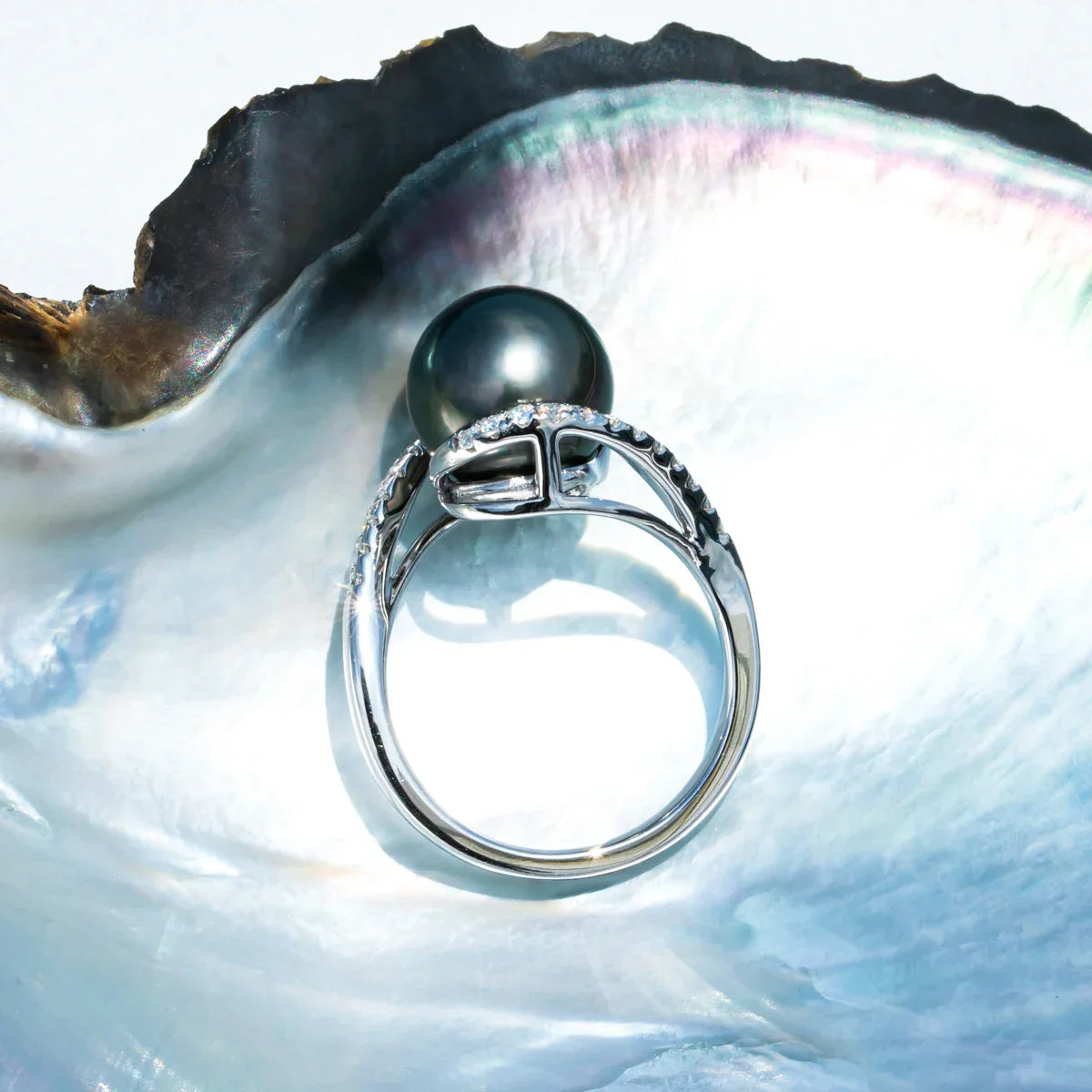 Bague Perle de Culture Tahiti – 10–11 mm Argent – Nacréa Tahiti