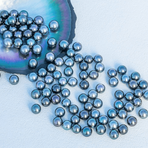 Boucle Oreille Perle de Tahiti – 9–12 mm Argent 925 – Nacréa Tahiti